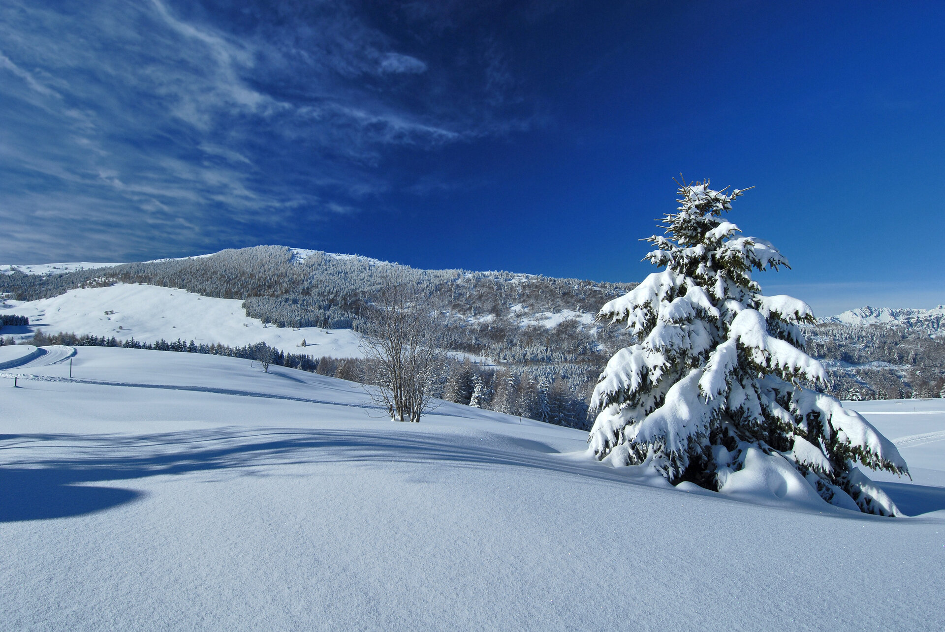 Content Dam Org 0 Images Full Rights Natura 22452