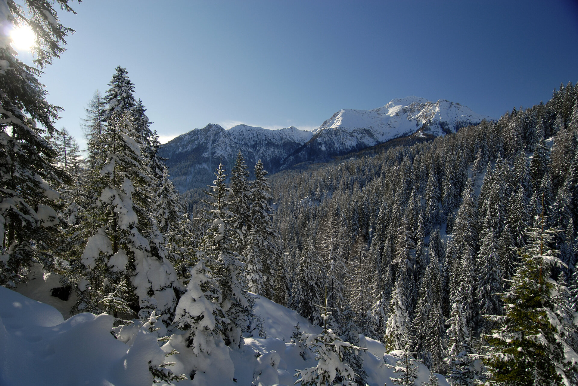 Content Dam Org 0 Images Full Rights Natura 22454