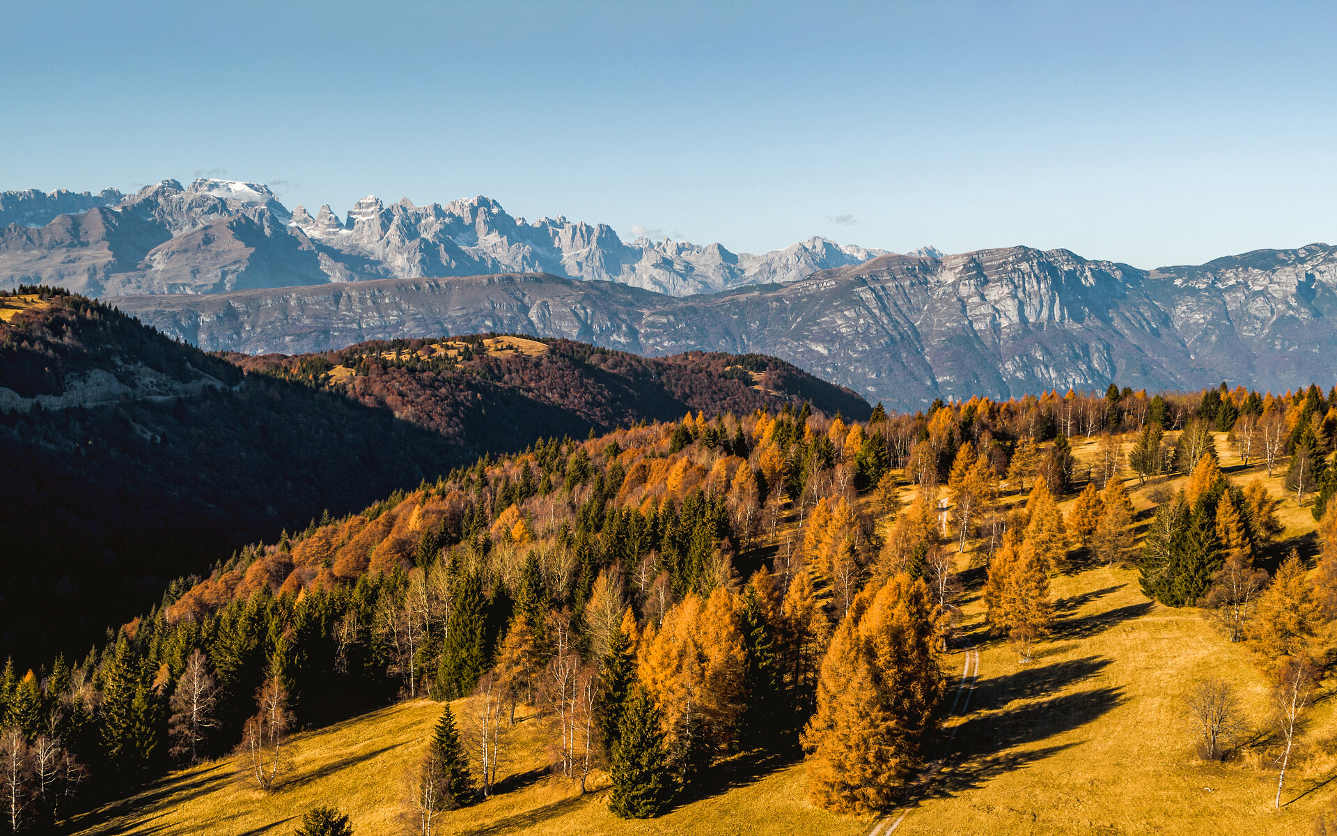 Content Dam Org 0 Images Full Rights Natura 44241 Monte Bondone Autunno