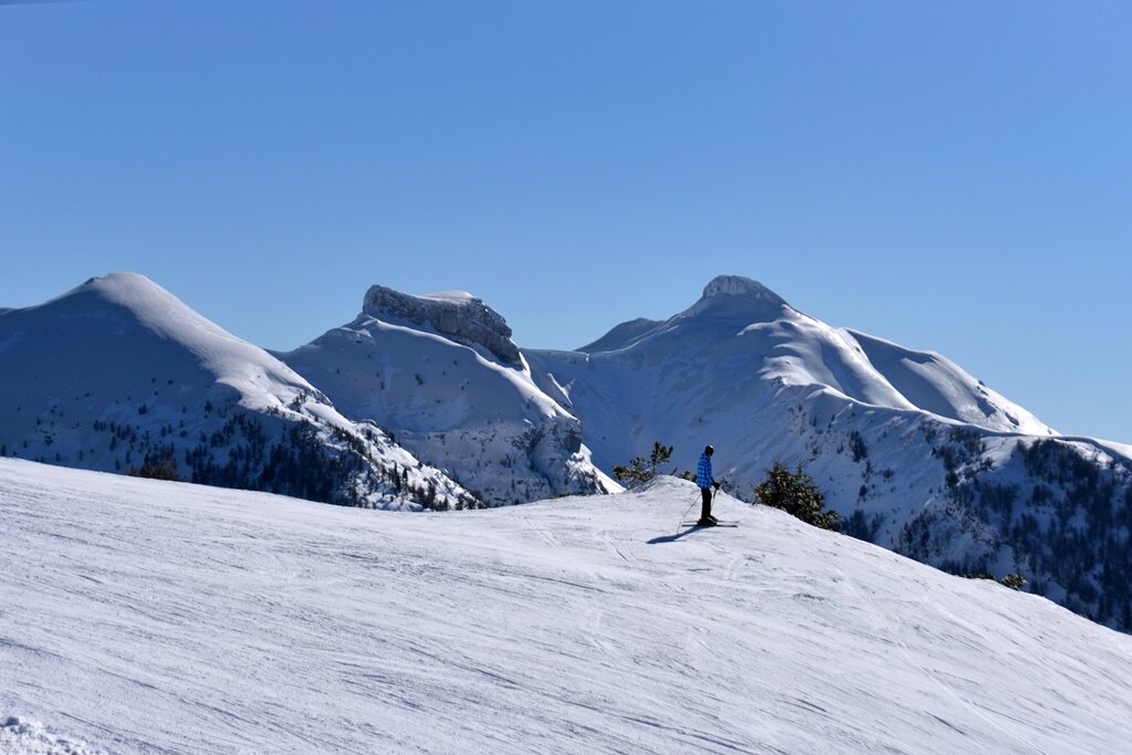 Content Dam Org 7 Images Full Rights Natura Rete Riserve Bondone Tre Cime Bondone M Miori Rete Riserva Tre Cime Bondone