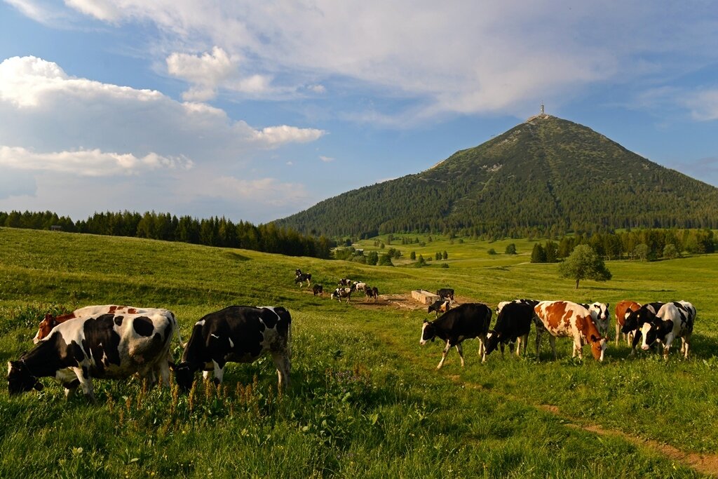 Riserva integrale - Tre Cime del Monte Bondone