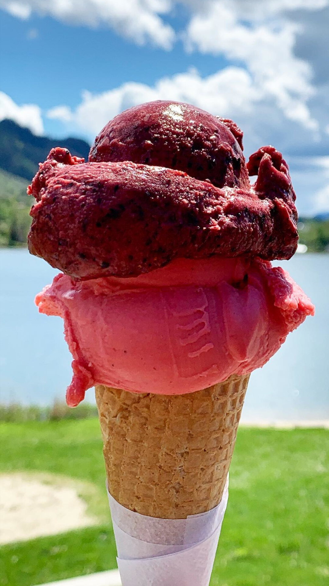 Content Dam Org 7 Images Full Rights Gusto Bar E Pasticcerie Pasticcerie Pine Agrigelateria