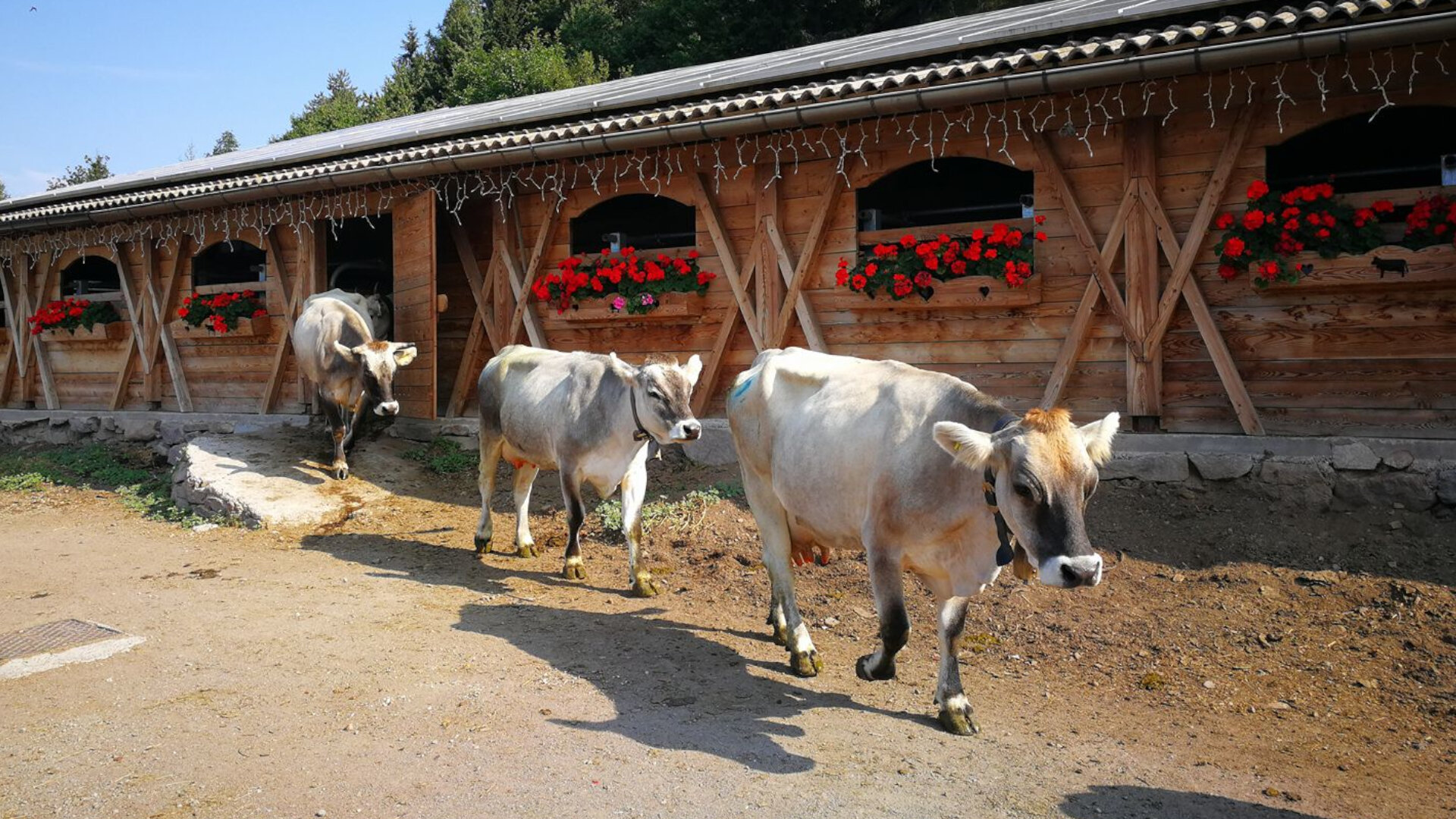 Content Dam Org 7 Images Full Rights Gusto Ristoranti Ristoranti Pine Le Mandre Le Mandre 4