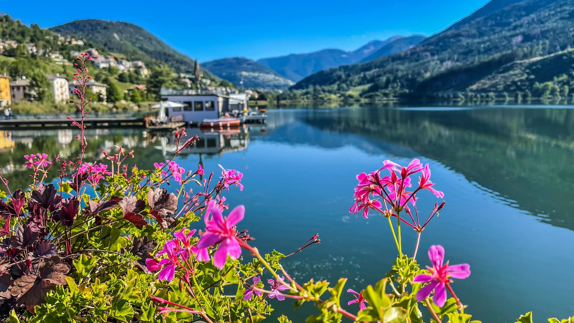 Content Dam Org 7 Images Full Rights Gusto Bar E Pasticcerie Bar Pine Bar Imbarcadero Pine Imbarcadero 2