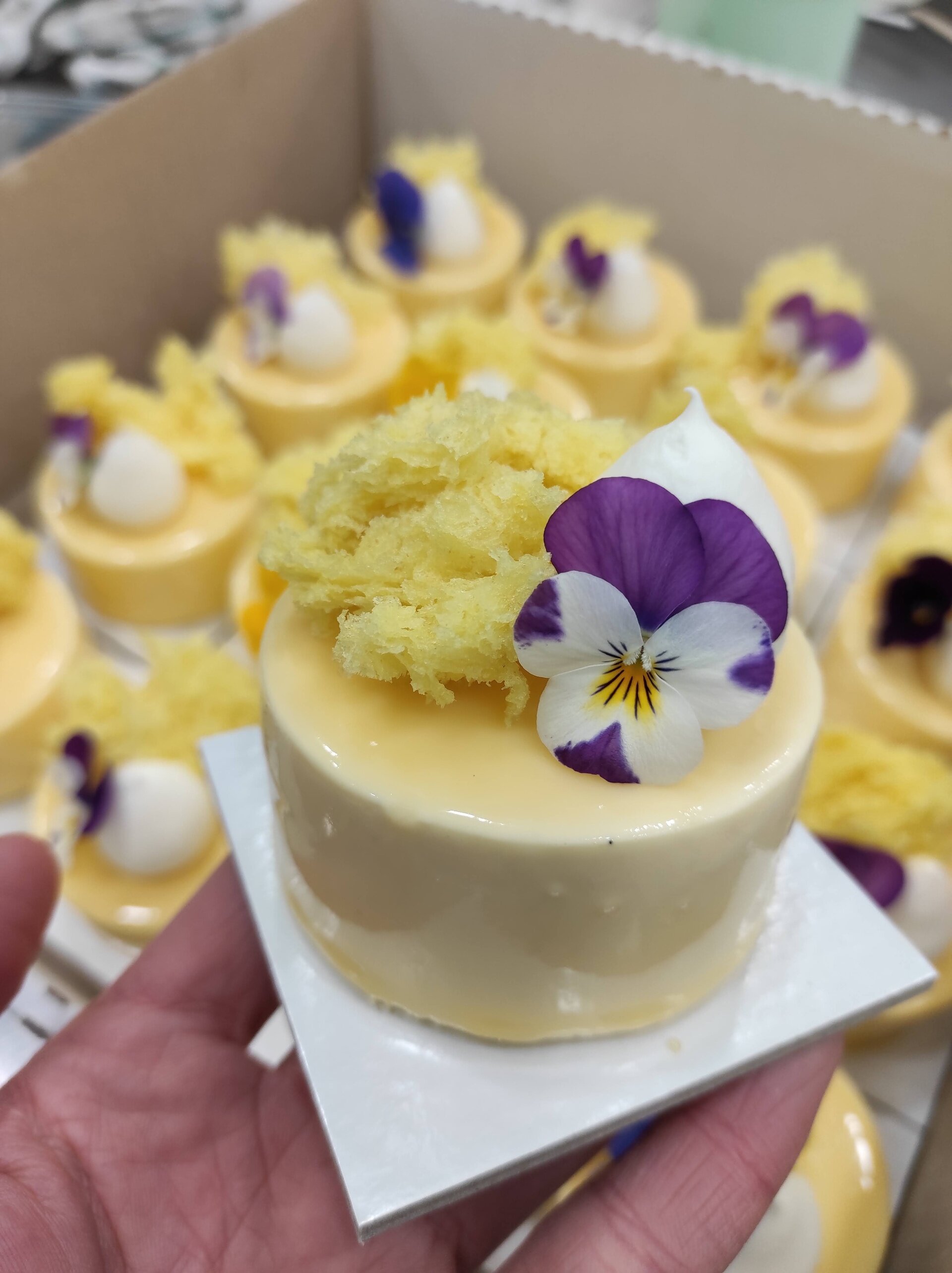 Content Dam Org 7 Images Full Rights Gusto Bar E Pasticcerie Patisserie Silvia Biasioli Sopramonte Patisserie Silvia Biasioli Sopramonte 4