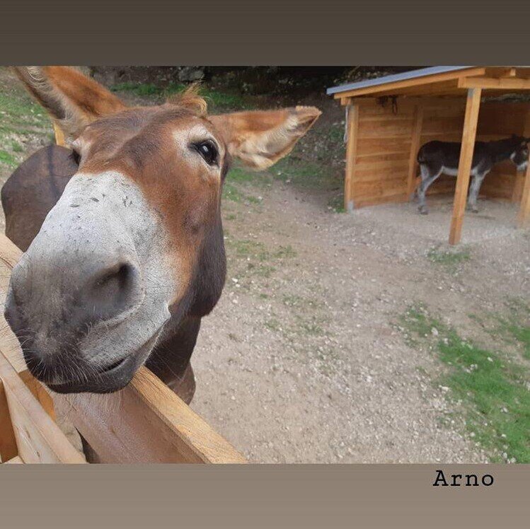 Content Dam Org 7 Images Full Rights Rifugi E Ristoranti In Quota Rifugio Maranza Rifugio Maranza Trento Apt Trento 3