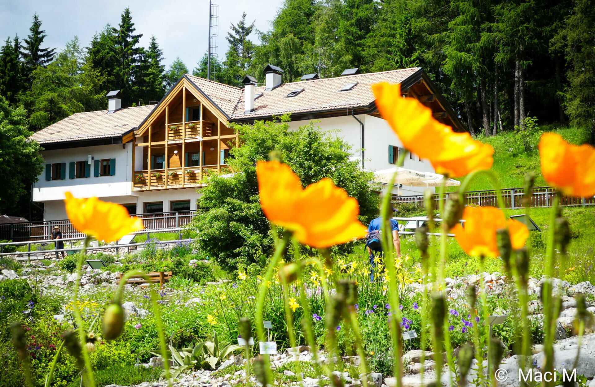 Rifugio Viote - Monte Bondone