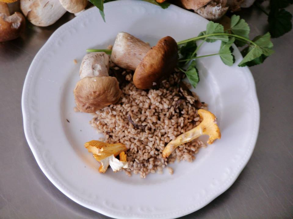 Content Dam Org 7 Images Full Rights Gusto Ristoranti Ristoranti Pine Maso La Vecchia Quercia Ristorante Maso La Vecchia Quercia Ph Maso La Vecchia Quercia