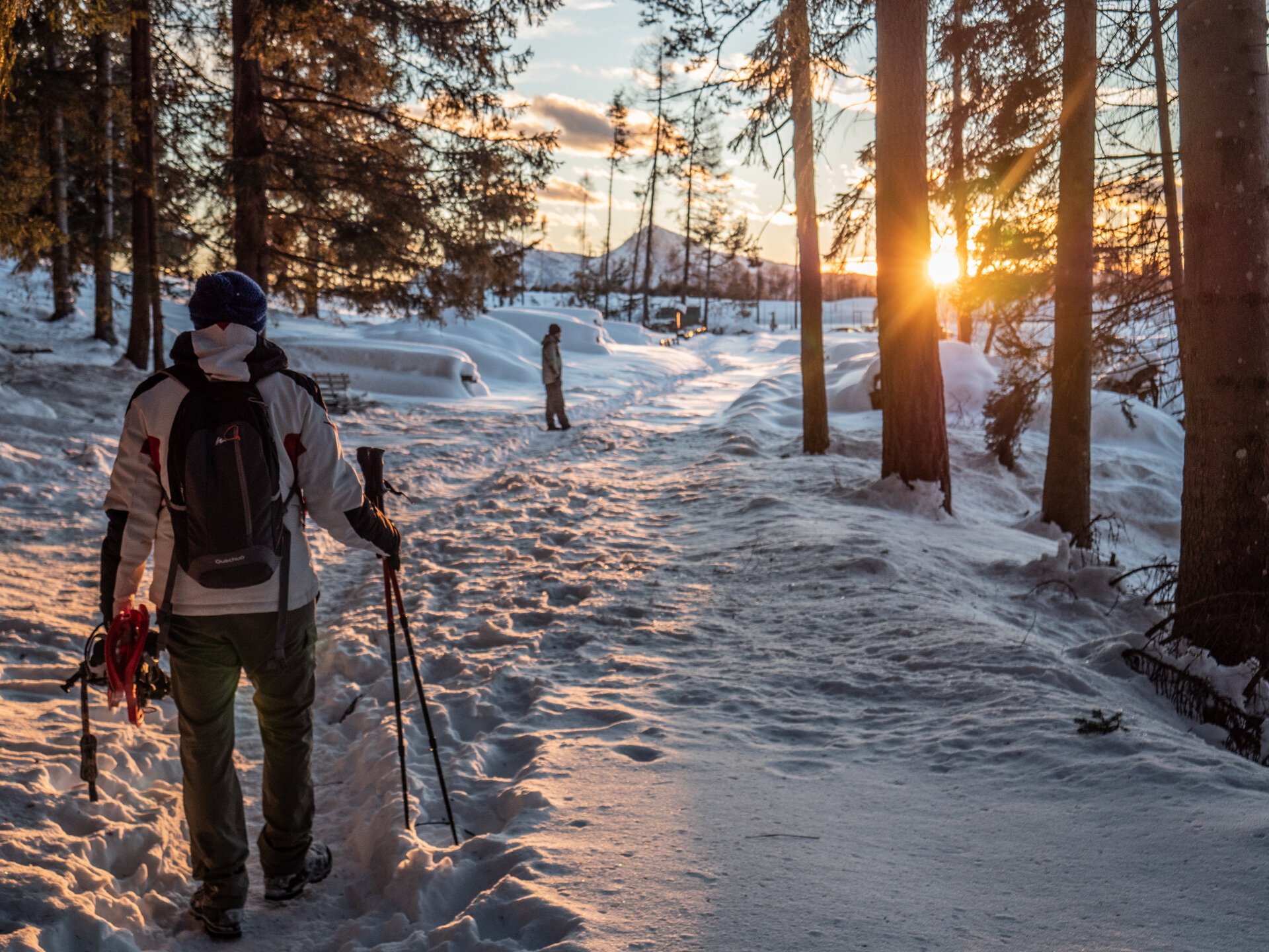 Content Dam Org 7 Images Full Rights Servizi Noleggi Noleggi Sci E Ciaspole Pine Ciaspole Ph A Monticelli 13