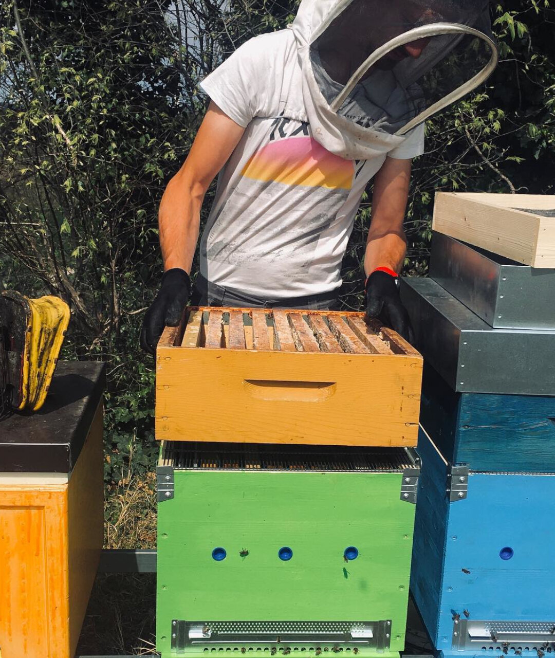 Bienenzucht Gocce d’oro