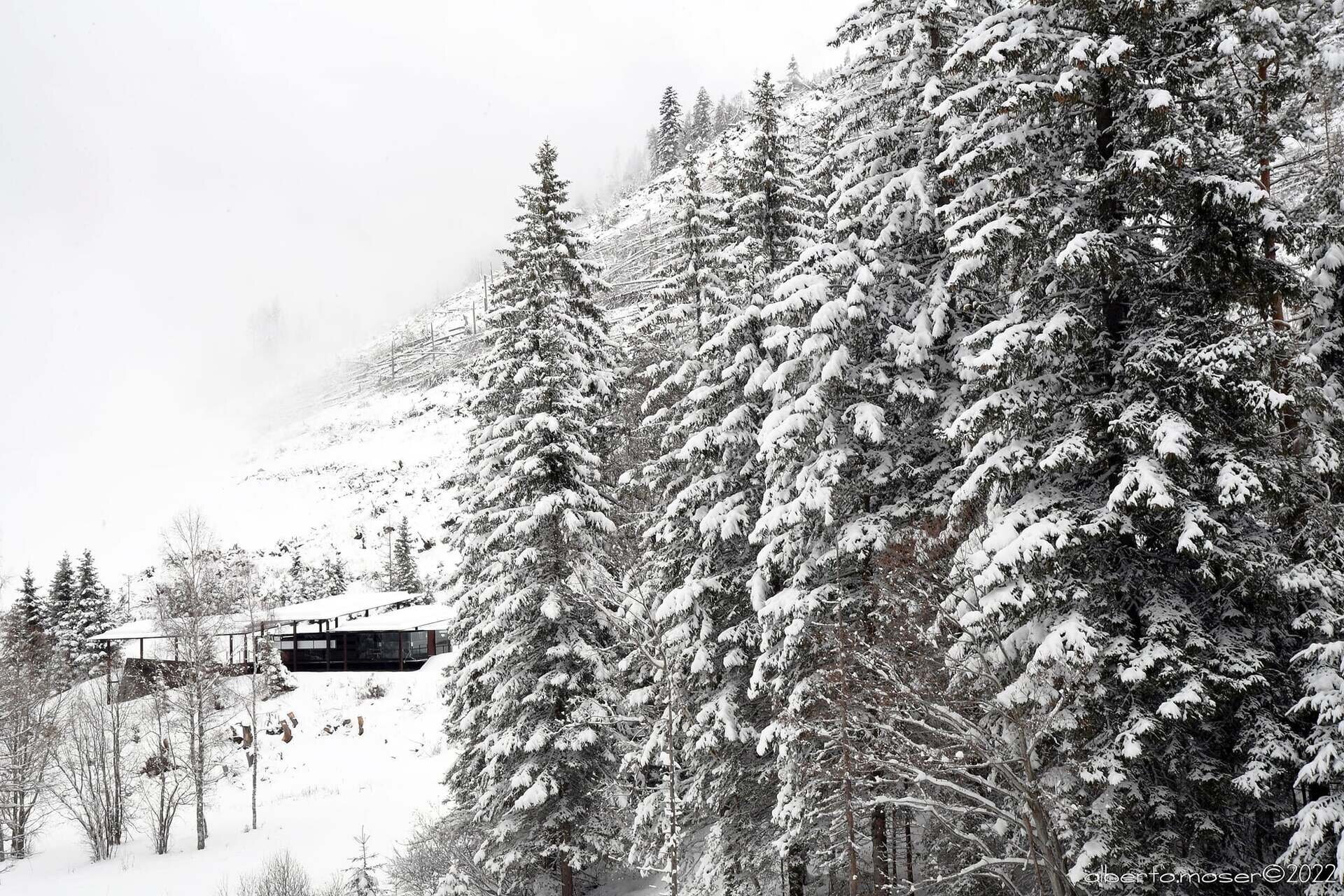 Content Dam Org 7 Images Full Rights Cultura Pine Musei Ed Ecomusei Area Archeologica Inverno Ph Alberto Moser