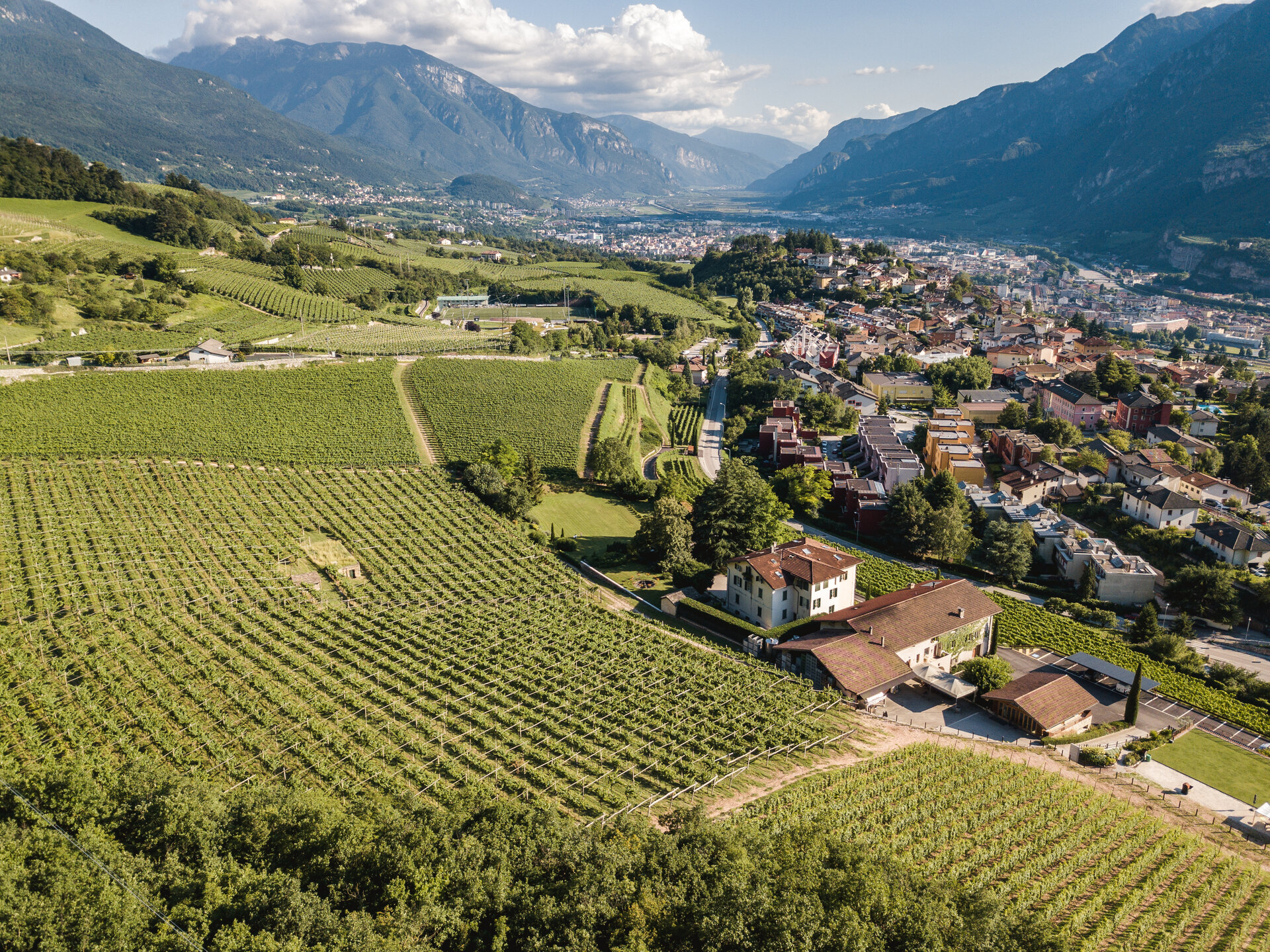 Content Dam Org 7 Images Full Rights Gusto Cantine Maso Martis Maso Martis 4