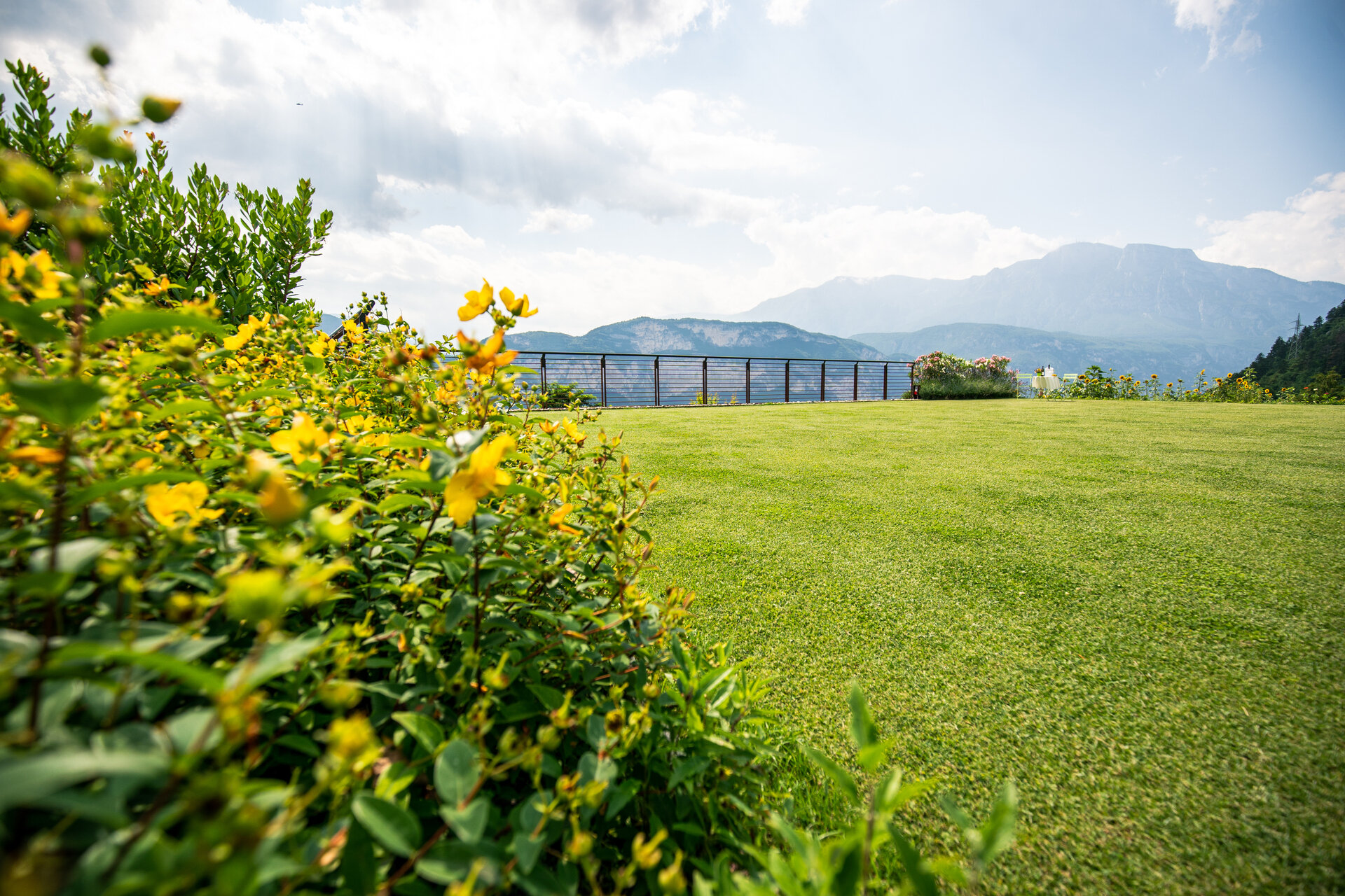 Content Dam Org 7 Images Full Rights Gusto Cantine Maso Martis Maso Martis 2