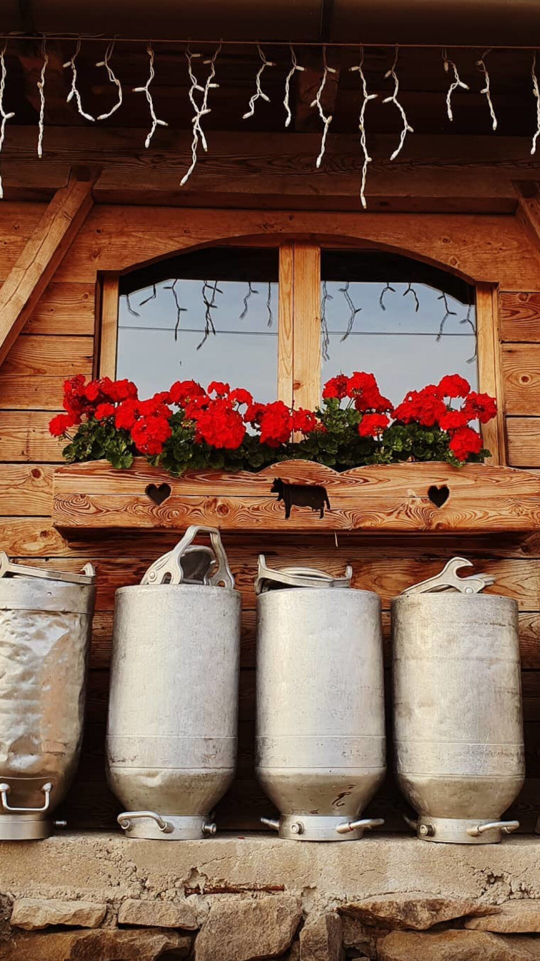 Content Dam Org 7 Images Full Rights Shopping Pine Agritur E Malghe Pine Le Mandre