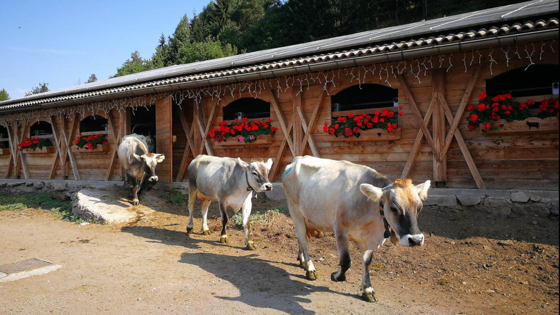 Bauernhof Le Mandre