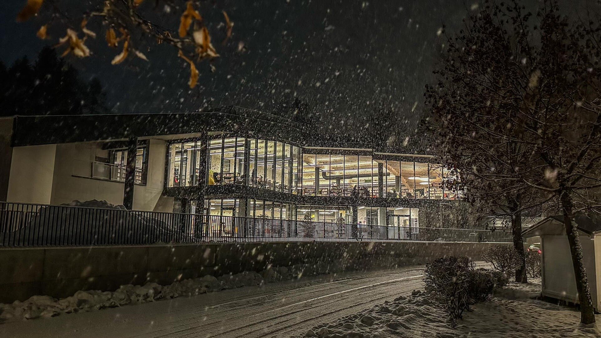 Content Dam Org 7 Images Full Rights Cultura Pine Biblioteca Lac Biblioteca Lac Inverno Ph Alberto Moser