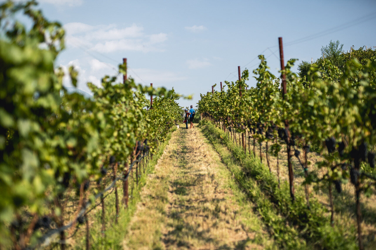 Content Dam Org 0 Images Full Rights Miste Image002