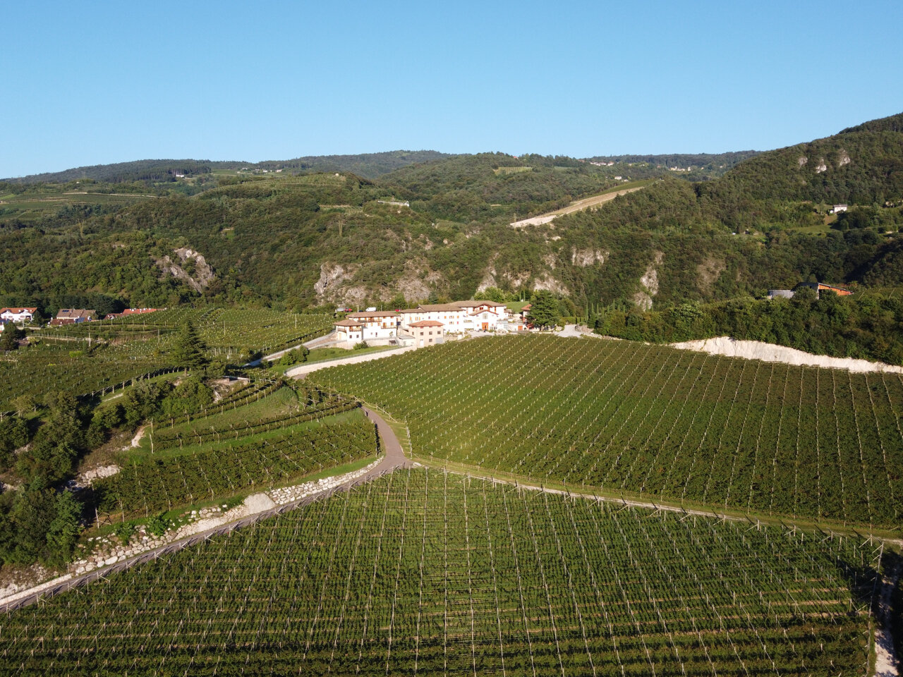 Content Dam Org 0 Images Full Rights Miste Immagineallegata 2