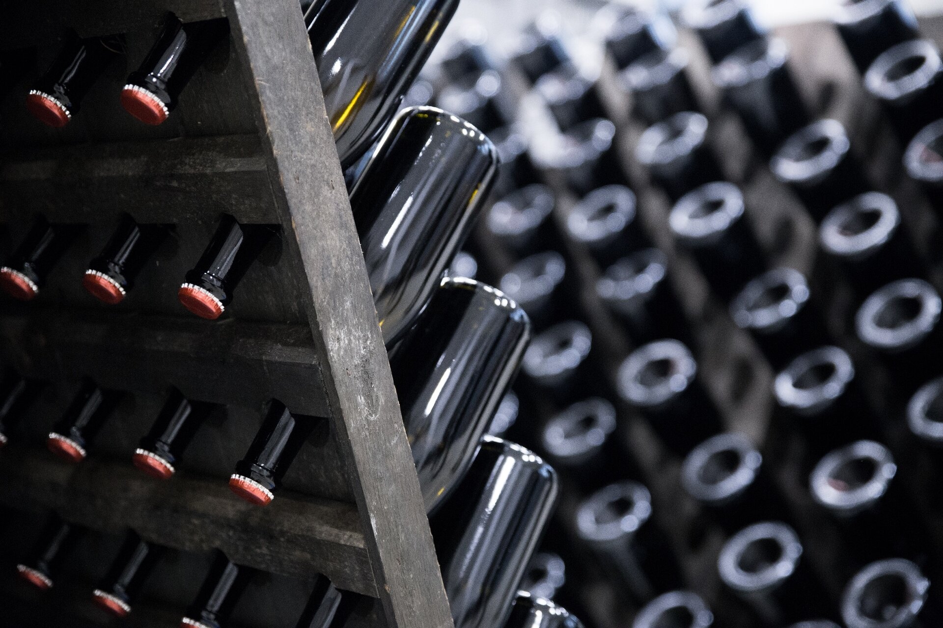 Content Dam Org 7 Images Full Rights Gusto Cantine Cantina Sociale Cantina Sociale 3