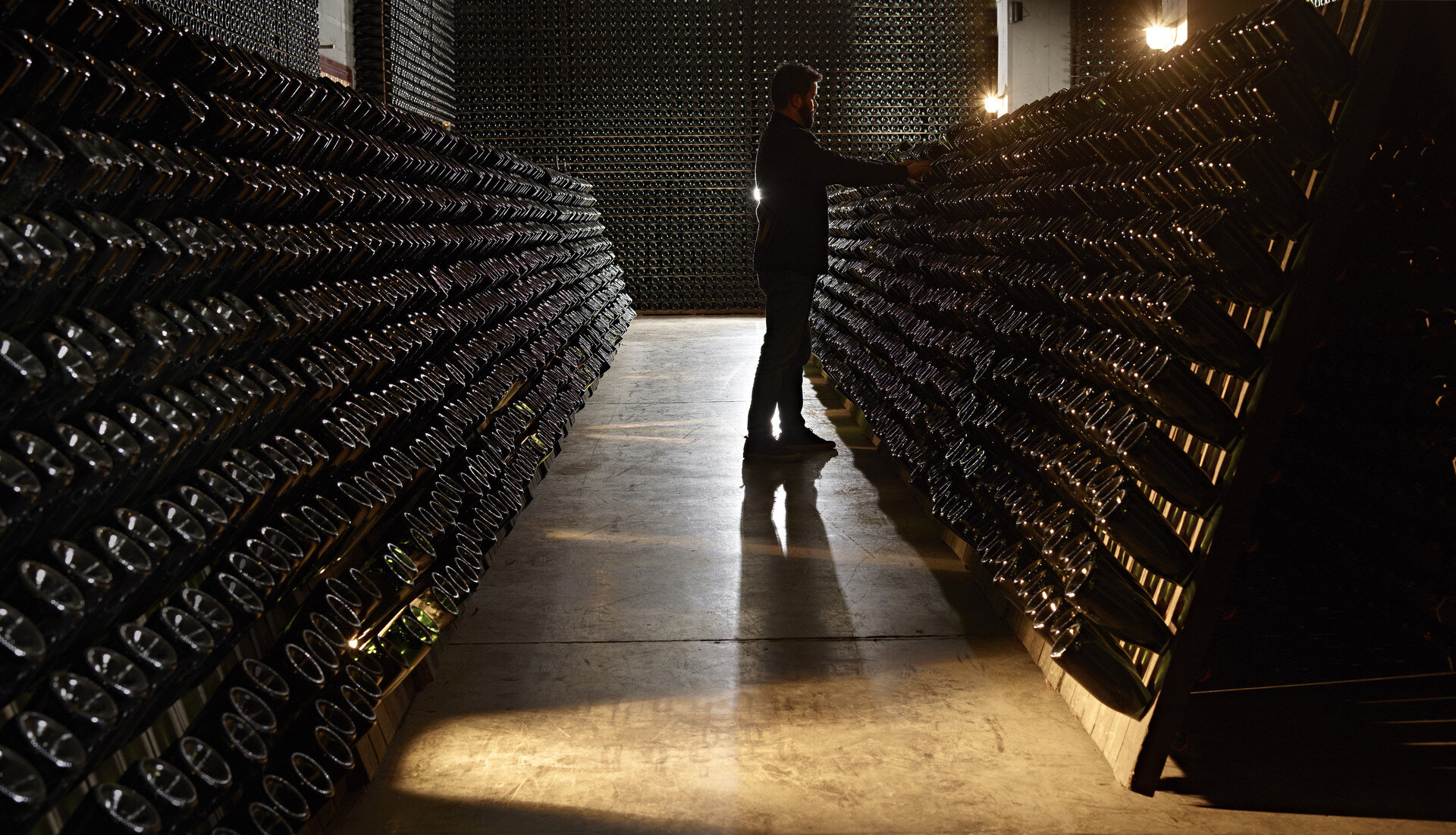 Cantine Ferrari - F.lli Lunelli