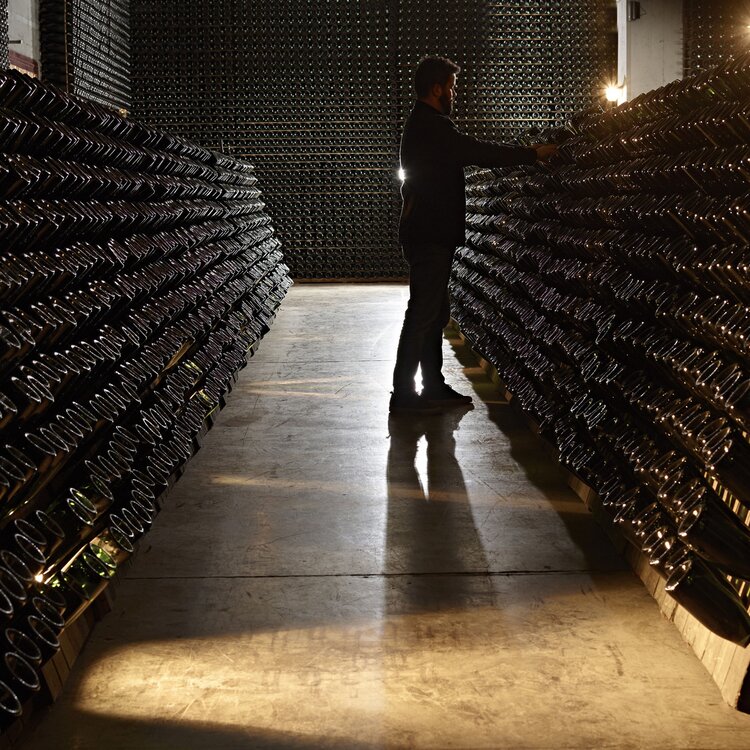 Cantine Ferrari - F.lli Lunelli - Cantine Ferrari - F.lli Lunelli - Via Pon