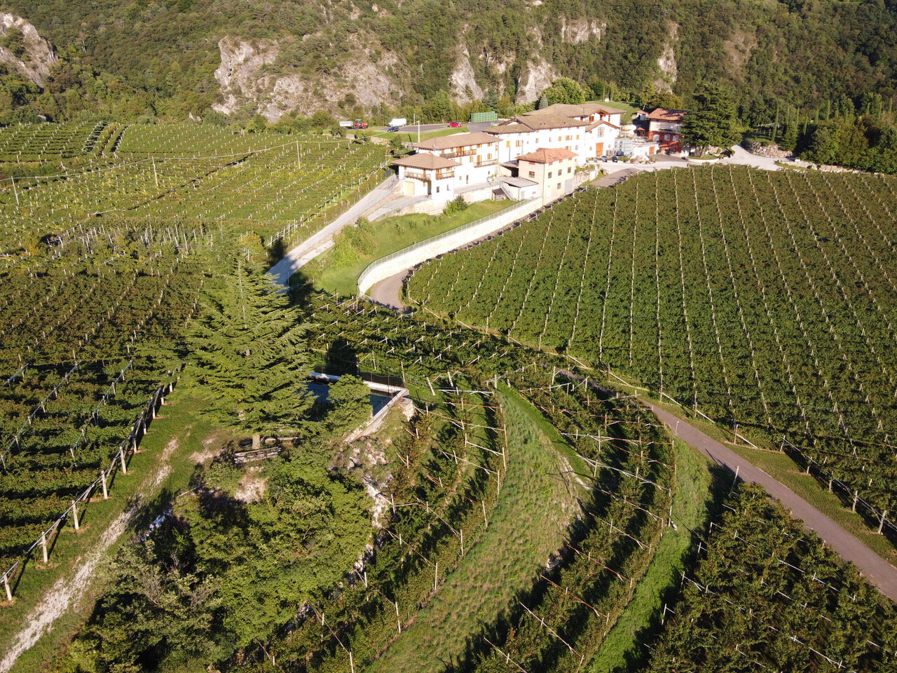 Content Dam Org 0 Images Full Rights Miste Image003