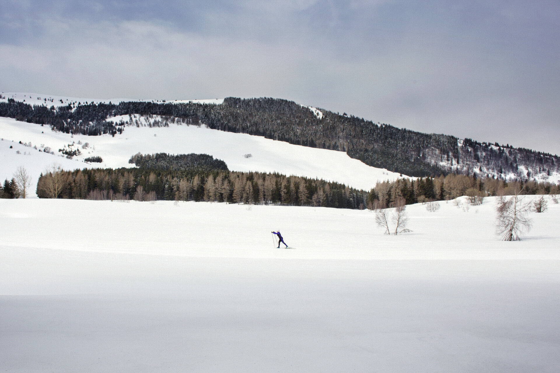 Content Dam Org 7 Images Full Rights Outdoor Sulla Neve Ski Area Centro Fondo Viote Agg 2025 Centro Fondo 25 4