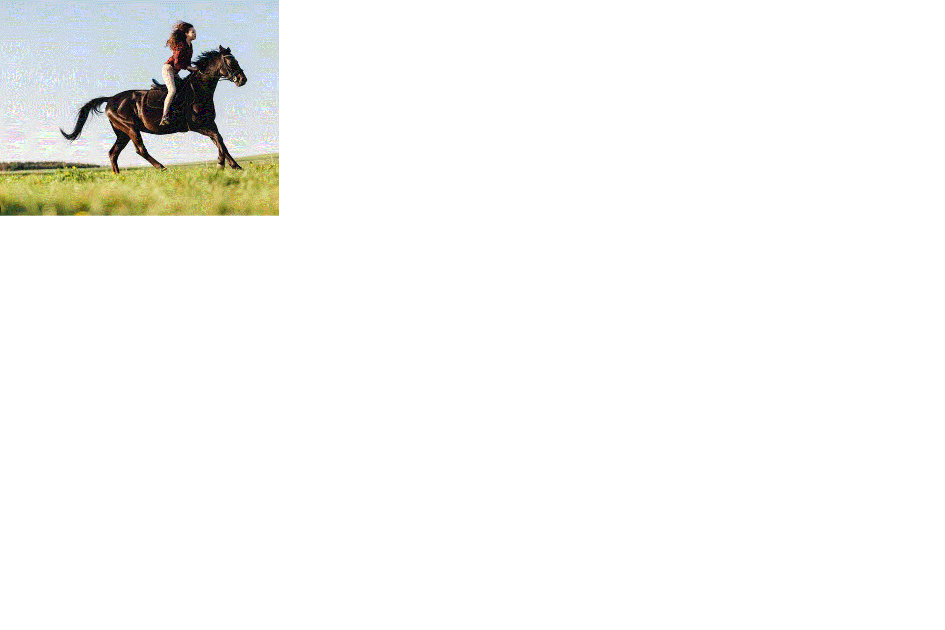 Reitsportzentrum Trient