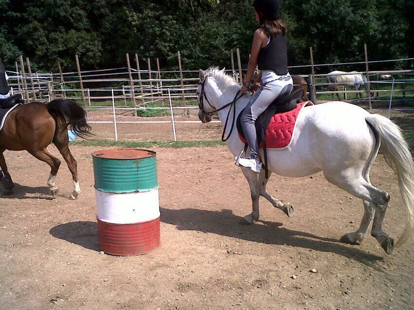 Content Dam Org 7 Images Full Rights Outdoor Altre Attivita Trento Centro Sportivo Equitazione Trento Centro Sportivo Equitazione Trento 3