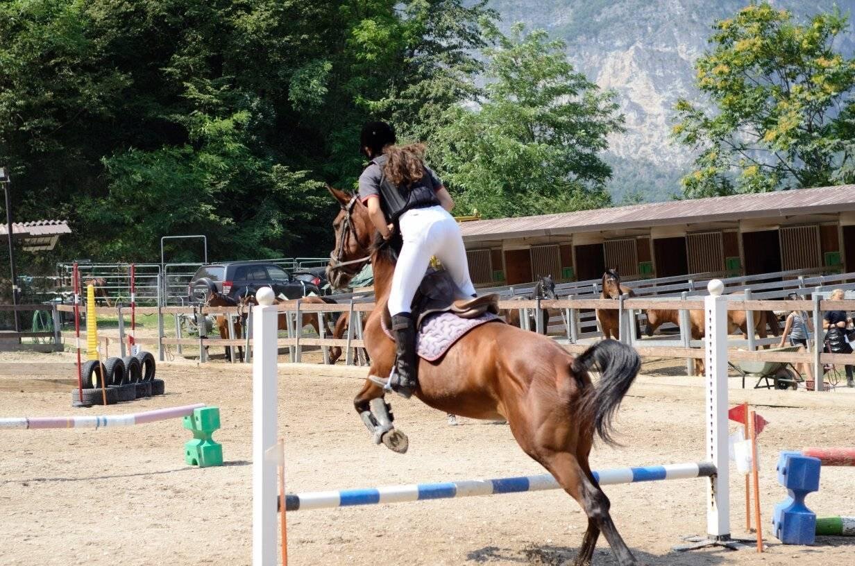 Content Dam Org 7 Images Full Rights Outdoor Altre Attivita Trento Centro Sportivo Equitazione Trento Centro Sportivo Equitazione Trento Cover