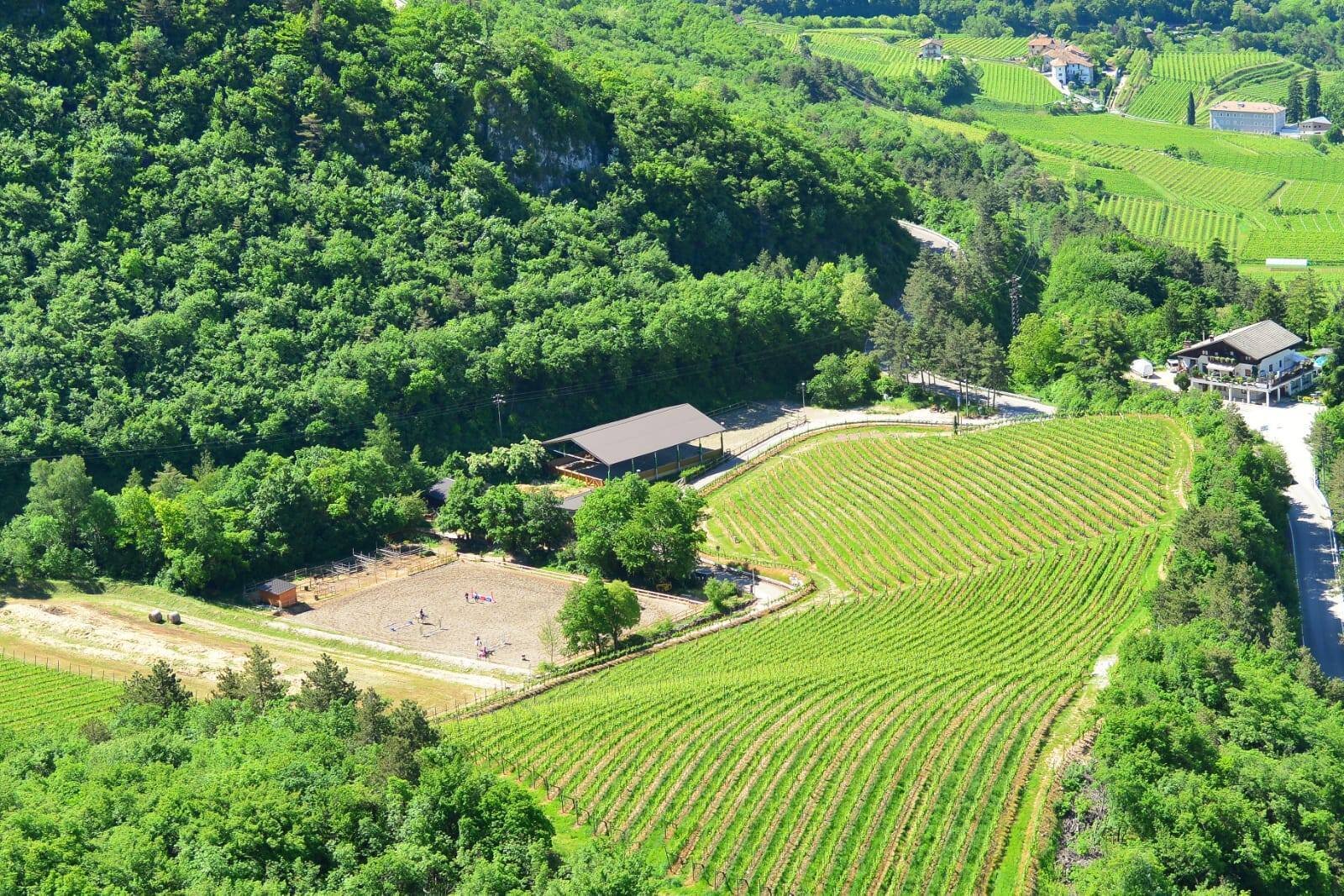 Circolo Ippico La Roccia