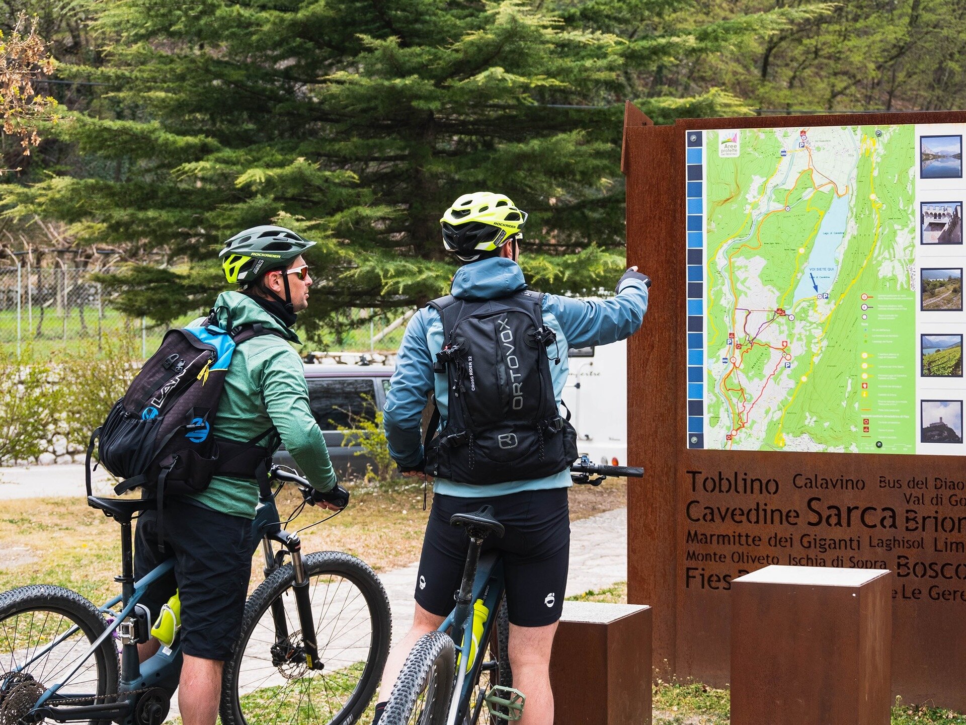 Content Dam Org 7 Images Full Rights Servizi Noleggi Cristallo Noleggio Cristallo 8