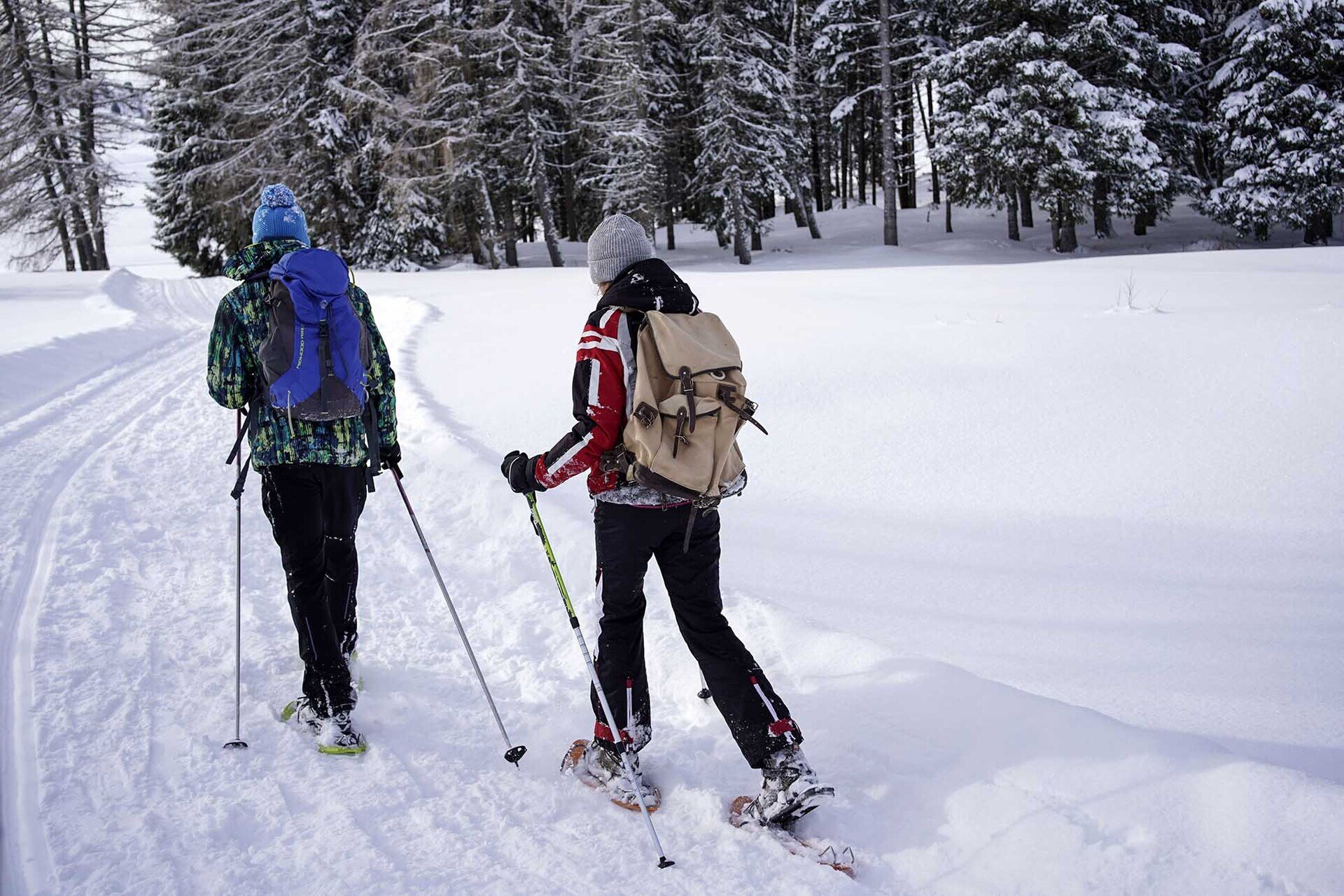 Content Dam Org 7 Images Full Rights Outdoor Sulla Neve Guide Alpine E Accompagnatori Dolomiti Avventura Mar9261