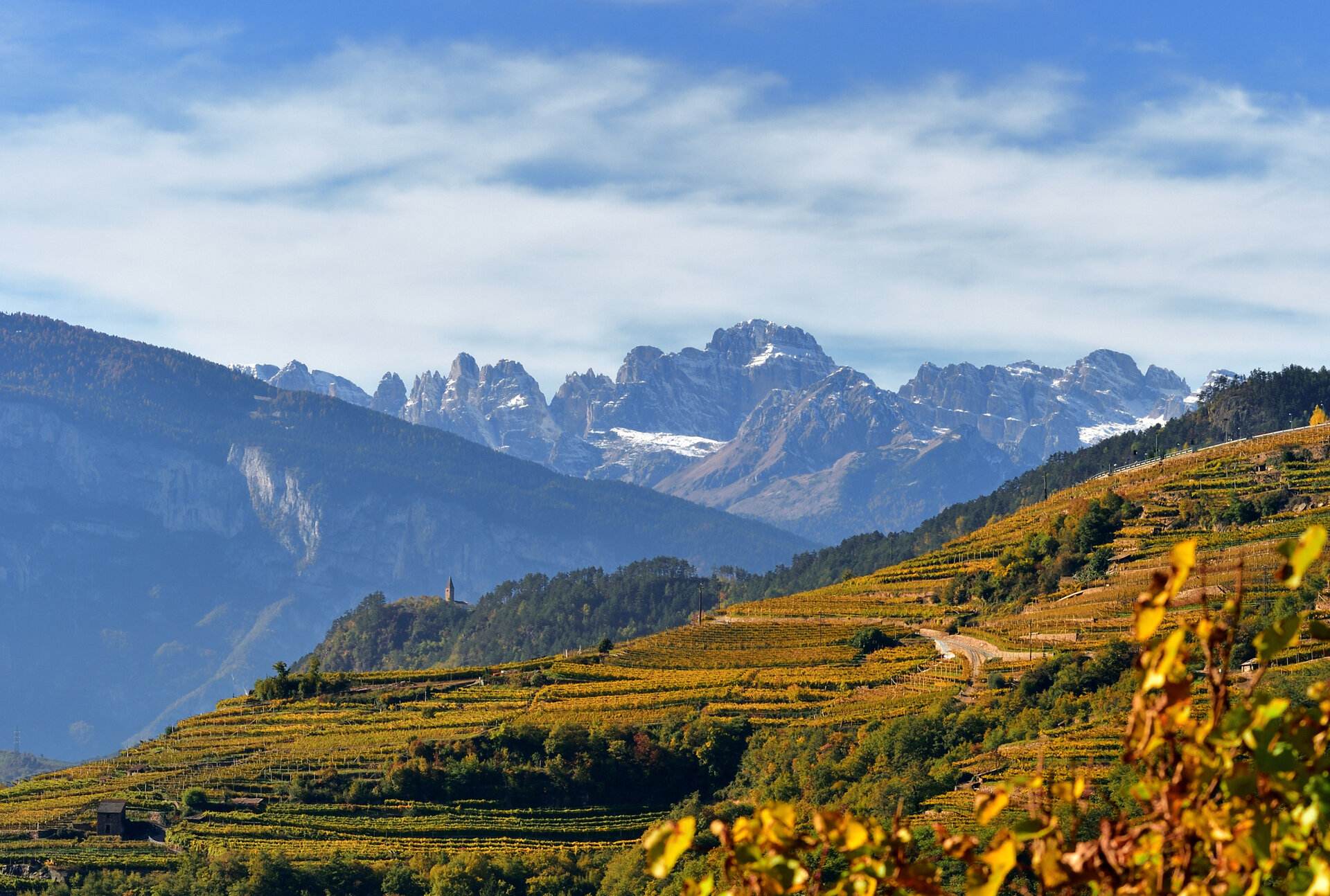 Content Dam Org 7 Images Full Rights Gusto Enoteche E Birrerie Enoteca Cavit 5 Cavit Valle Di Cembra 2