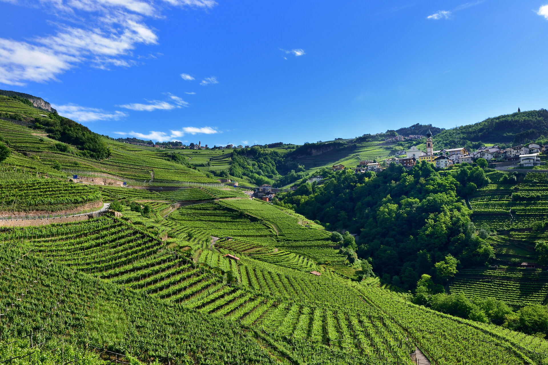 Content Dam Org 7 Images Full Rights Gusto Enoteche E Birrerie Enoteca Cavit 7 Cavit Valle Di Cembra