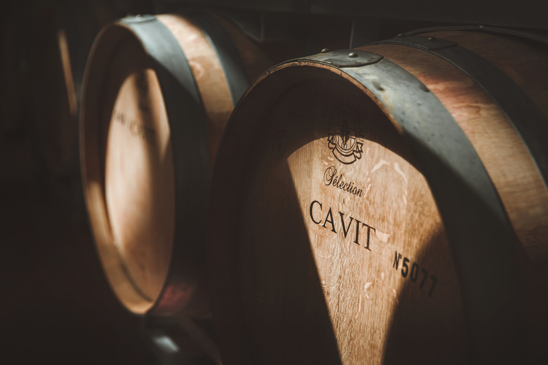 Content Dam Org 0 Images Full Rights Miste Cavit Foto Marco Parisi 2