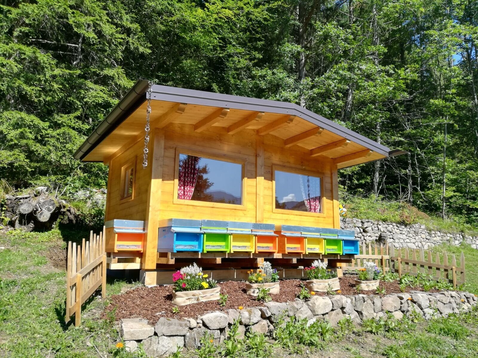 5 senses Experience in the "Beewellness Contadino"