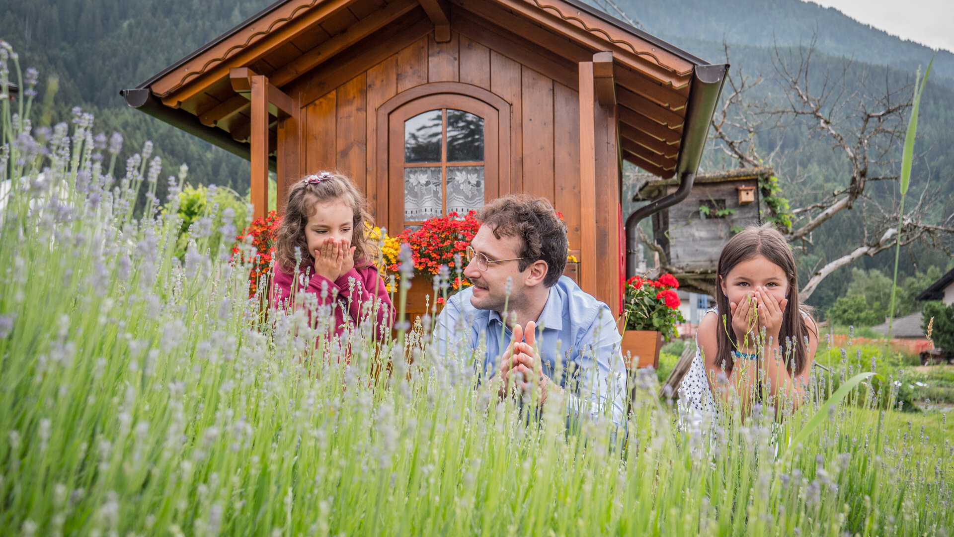 Content Dam Org 7 Images Full Rights Esperienze Pine Pine Beewellness Casetta Estate Apt Pine Cembra A Monticelli