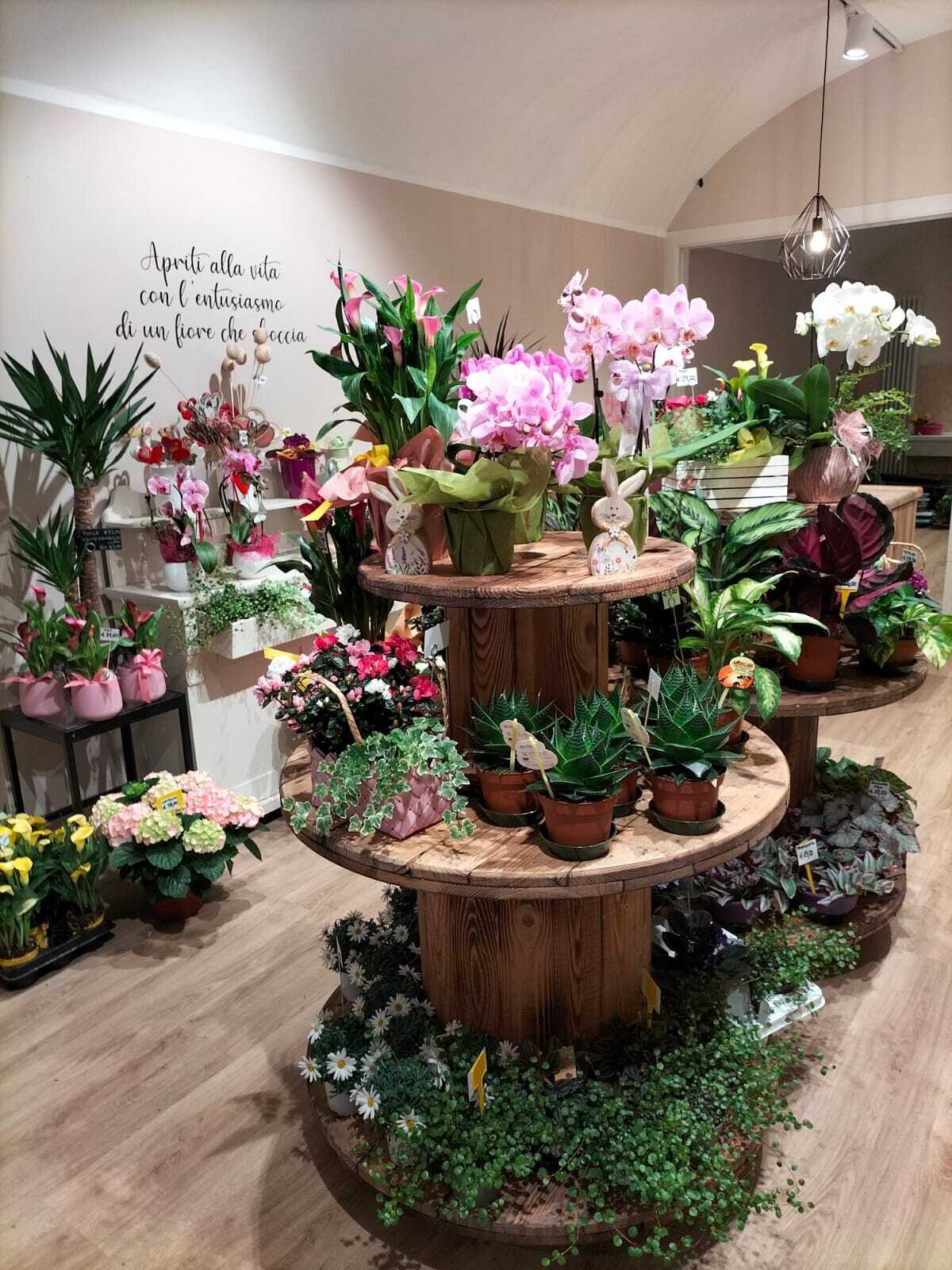 Content Dam Org 7 Images Full Rights Shopping Botteghe E Negozi Botteghe E Negozi Pine La Bottega Dei Fiori La Bottega Dei Fiori Ph La Bottega Dei Fiori 3