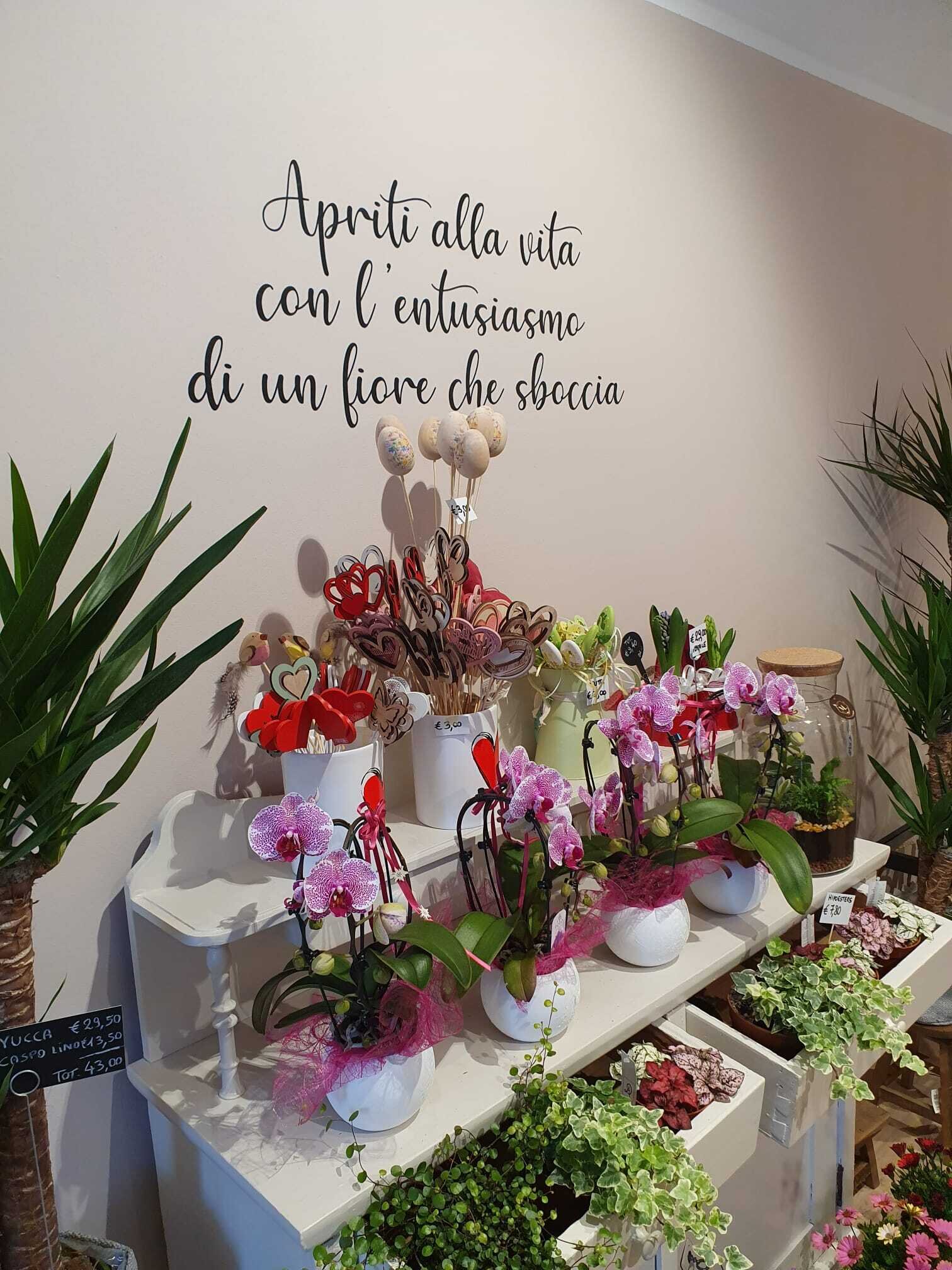 Content Dam Org 7 Images Full Rights Shopping Botteghe E Negozi Botteghe E Negozi Pine La Bottega Dei Fiori La Bottega Dei Fiori Ph La Bottega Dei Fiori 4