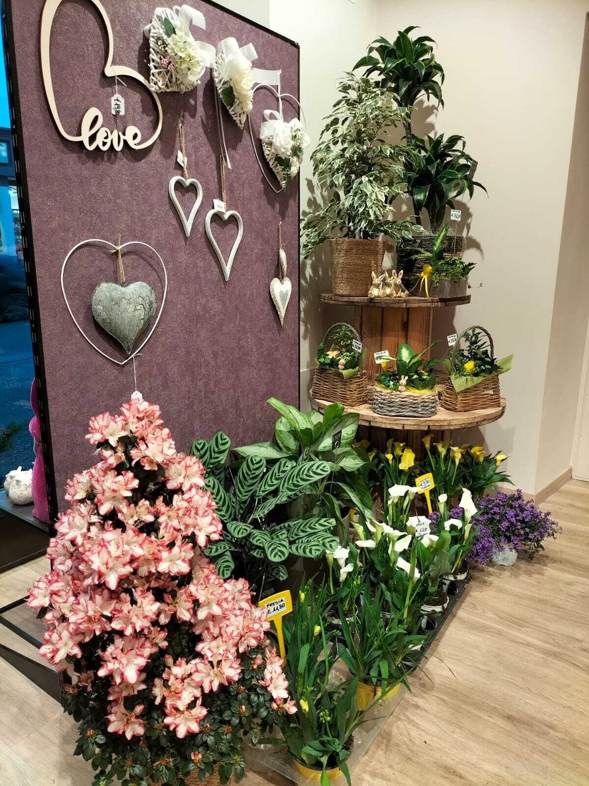 Content Dam Org 7 Images Full Rights Shopping Botteghe E Negozi Botteghe E Negozi Pine La Bottega Dei Fiori La Bottega Dei Fiori Ph La Bottega Dei Fiori 1