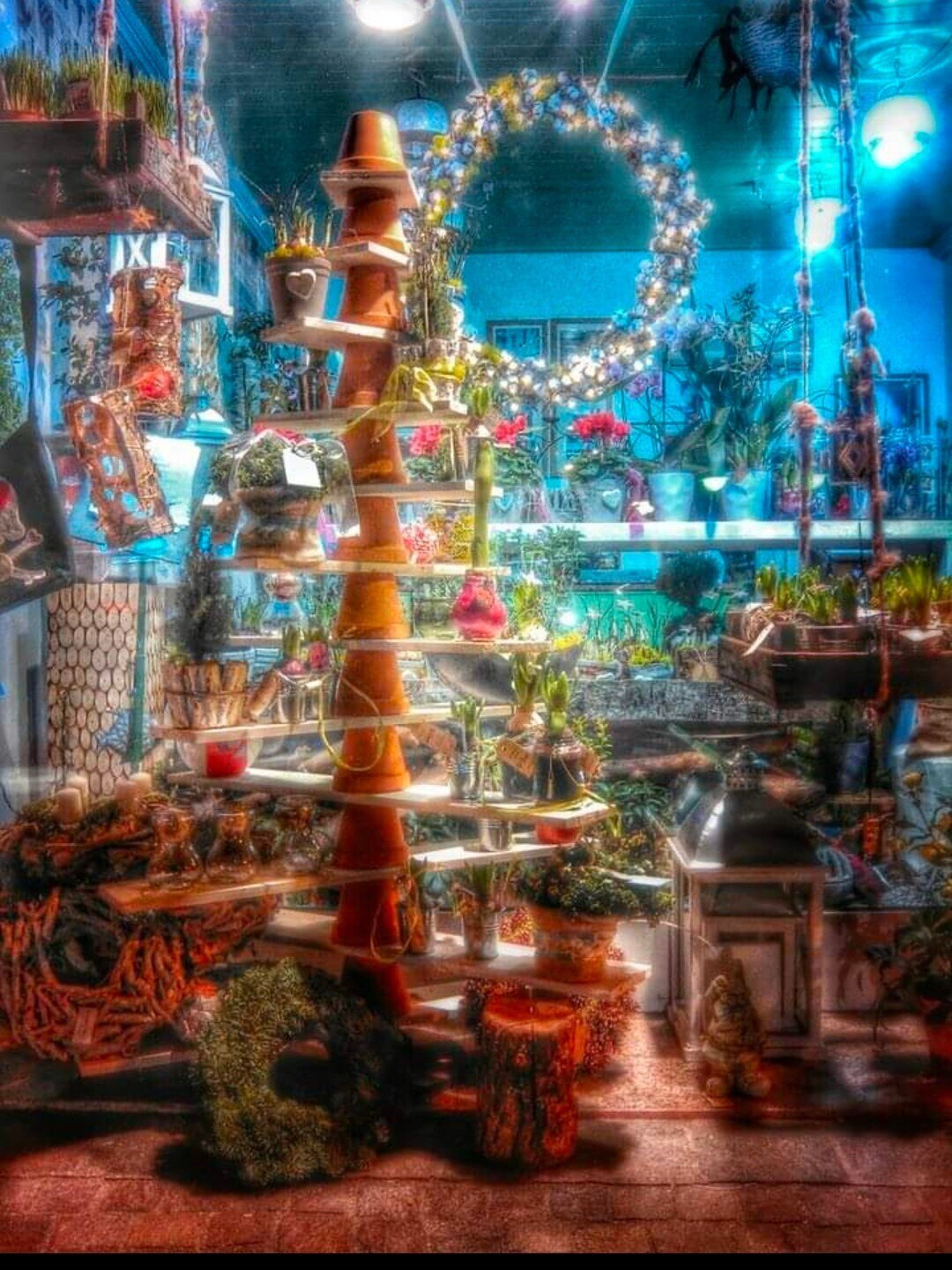 Content Dam Org 7 Images Full Rights Shopping Botteghe E Negozi Botteghe Storiche Fioreria Stella Bottega Storica Fioreria Stella Second 1