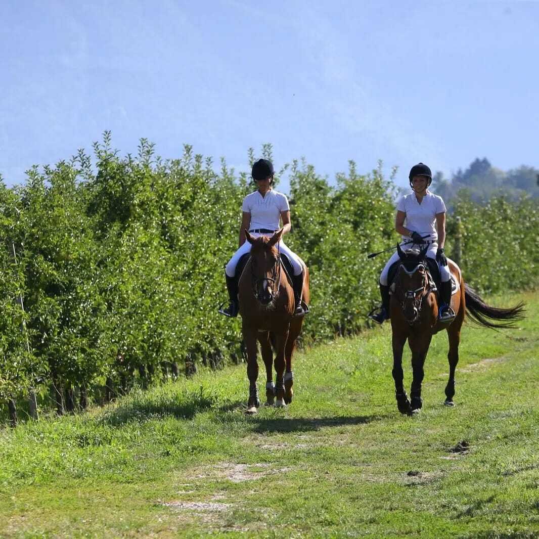GSD Riding Trento