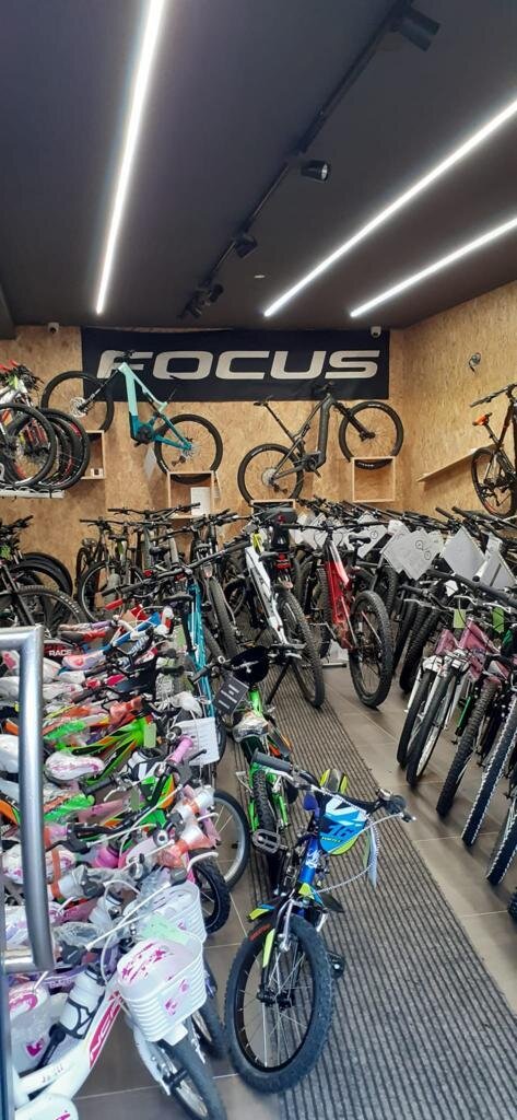 Content Dam Org 7 Images Full Rights Shopping Botteghe E Negozi Botteghe E Negozi Pine Jolly Pine Jolly Pine Ph Sofia Giovannini 3