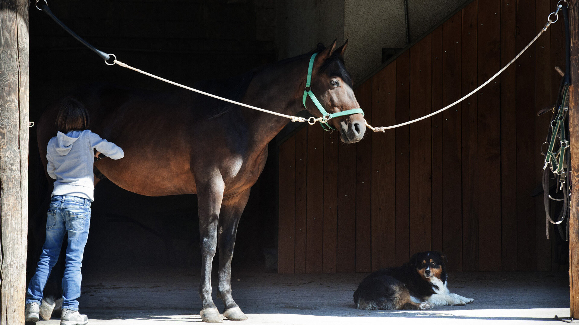 Maneggio  Azienda Agricola Dallapiccola