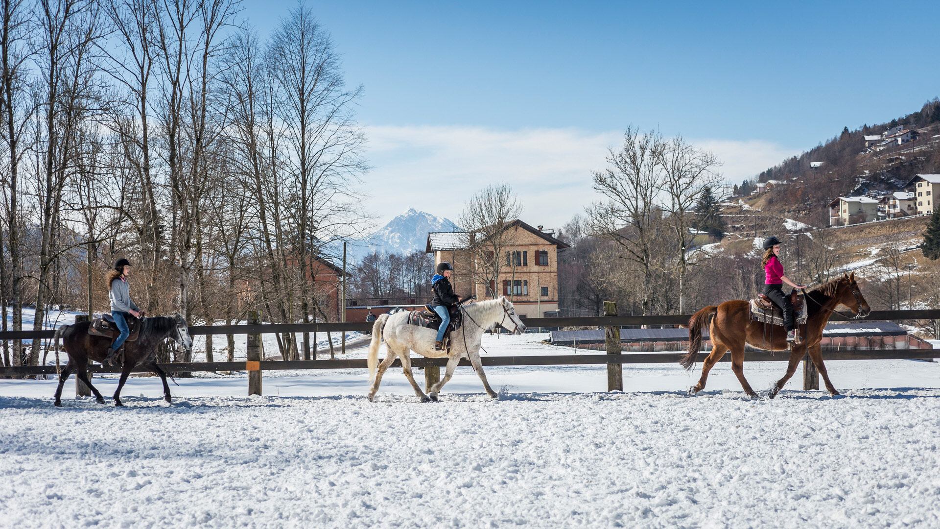 Content Dam Org 7 Images Full Rights Outdoor Altre Attivita Altopiano Di Pine Maneggi Az Agr Dallapiccola Cavalli Inverno Apt Pine Cembra A Franceschi