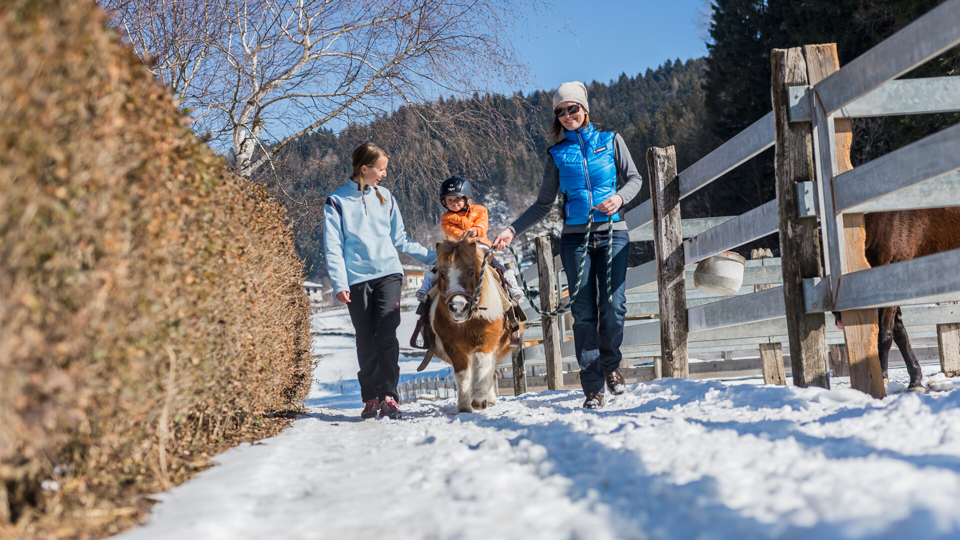 Content Dam Org 7 Images Full Rights Outdoor Altre Attivita Altopiano Di Pine Maneggi Az Agr Dallapiccola Inverno Apt Pine Cembra A Franceschi