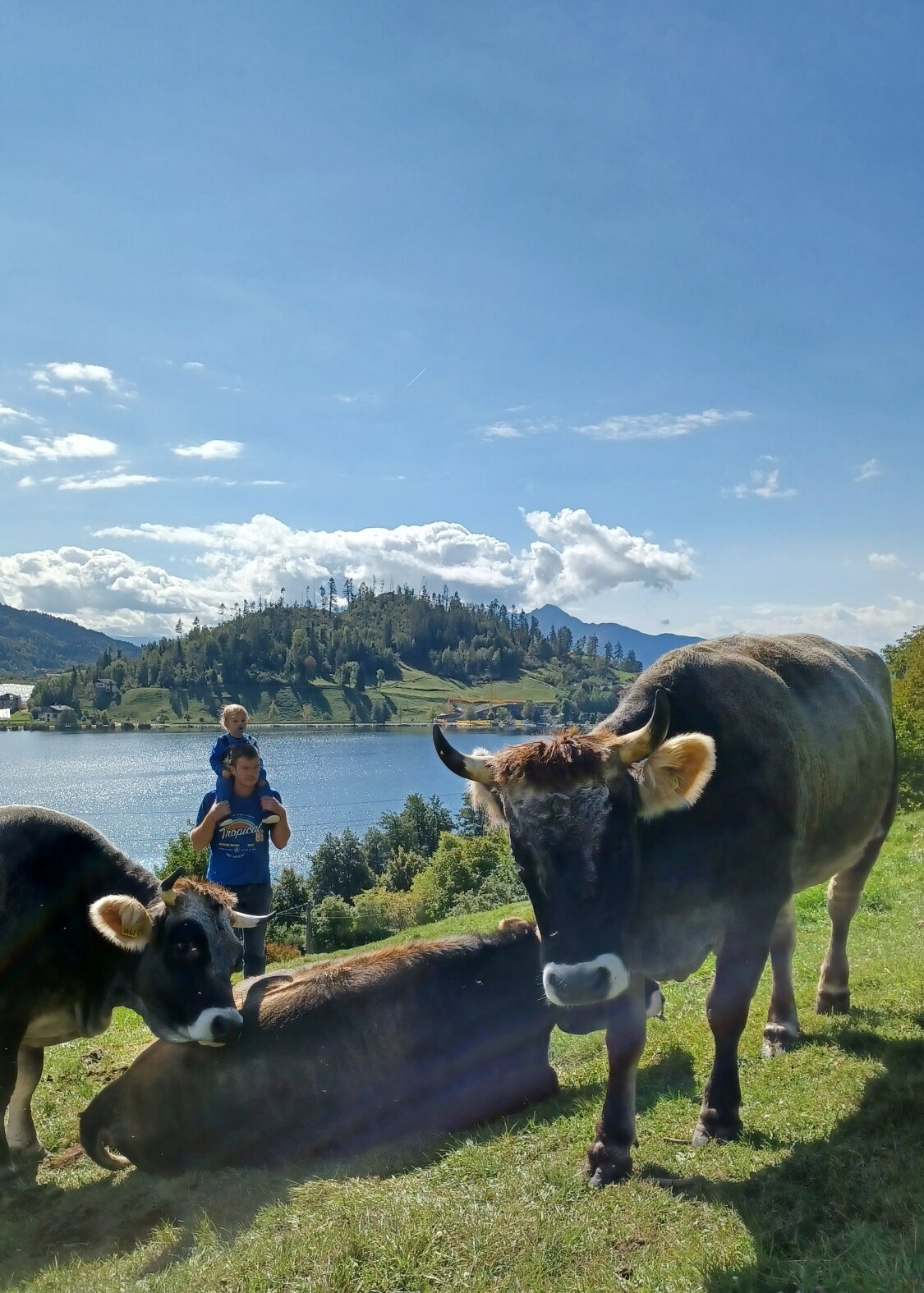 Content Dam Org 7 Images Full Rights Shopping Botteghe E Negozi Botteghe E Negozi Pine Mas La Grisota Ph Mas La Grisota 3