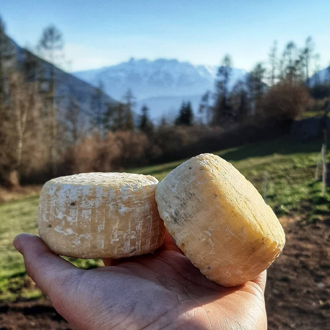 Content Dam Org 7 Images Full Rights Shopping Botteghe E Negozi Botteghe E Negozi Pine Mas La Grisota Ph Mas La Grisota 2