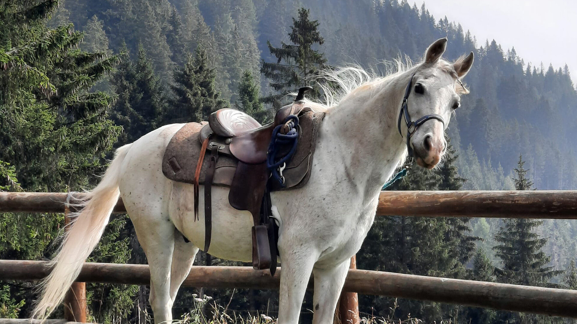 Mio Ranch Azienda Agricola